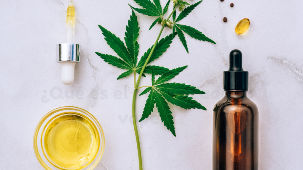 ¿Cuales-son-los-beneficios-de-la-flor-de-CBD-1