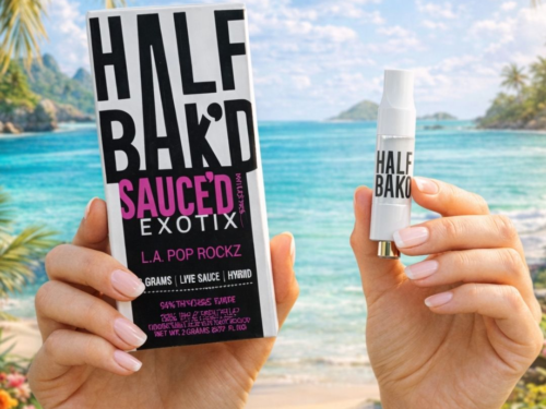¿Buscas Vapes THC en Quito? Esto es lo que Debes Saber Antes de Comprar