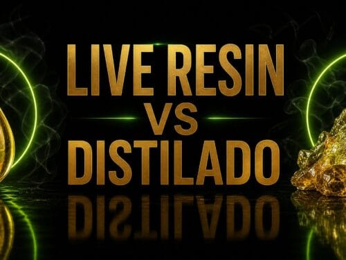 Live Resin vs Distilado - comparativa de extracción de vapes THC premium en Quito