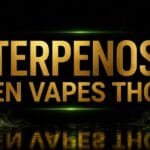 Terpenos en vapes THC: pino, limón, lavanda y mango representando los aromas del cannabis - Anandasana Quito