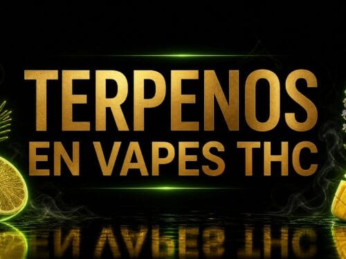 Terpenos en vapes THC: pino, limón, lavanda y mango representando los aromas del cannabis - Anandasana Quito